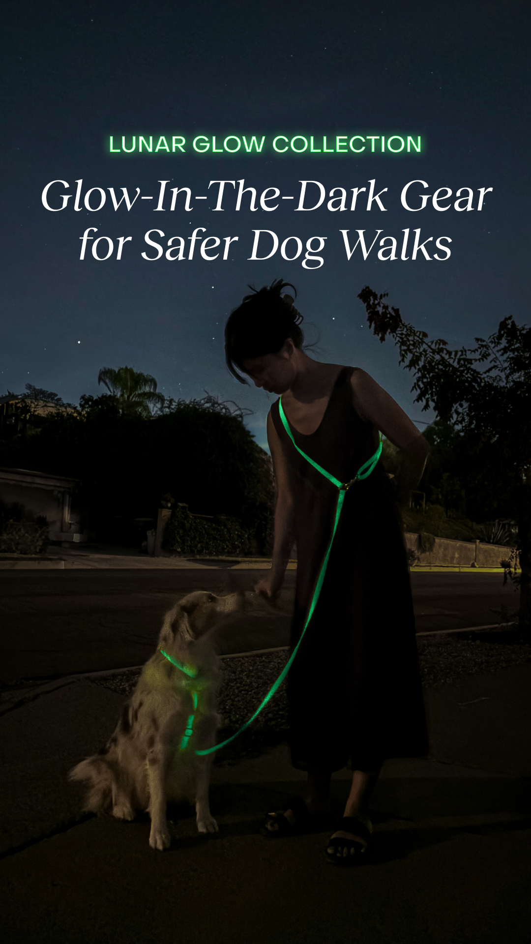 Shop Sunny Tails Facebook ad