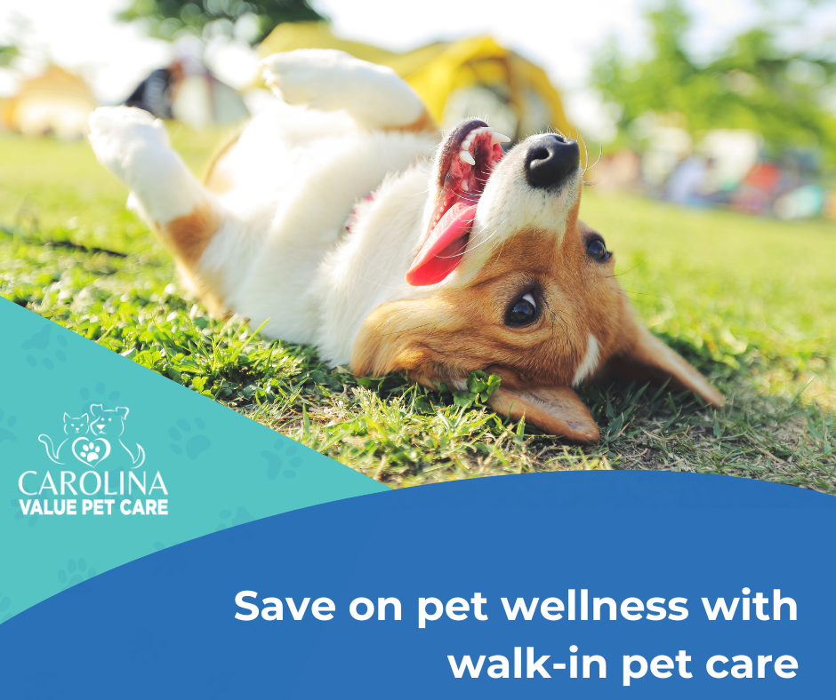 Carolina Value Pet Care Facebook ad: Save On Pet Care