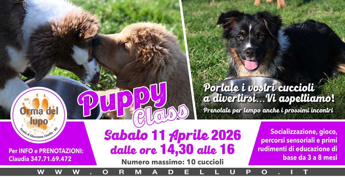 ASD Orma Del Lupo Facebook ad: ๐๐ ๐๐ฎ๐ฉ๐ฉ๐ฒ ๐๐ฅ๐๐ฌ๐ฌ ๐๐ข APRILE รจ ๐๐ฅ๐ฅ๐โฆ