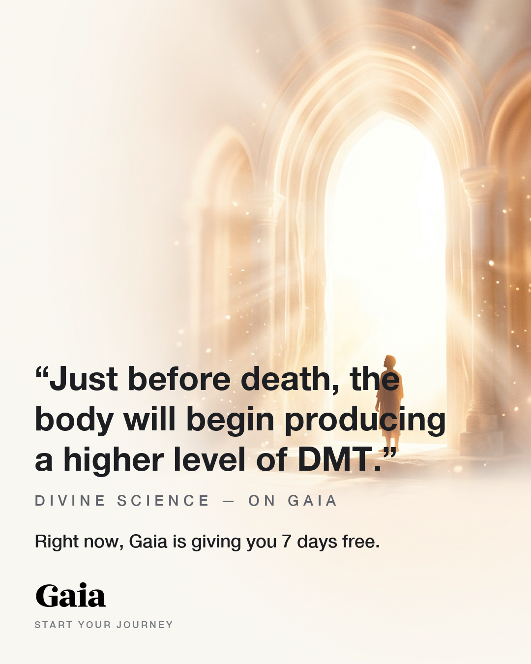 Gaia Facebook ad