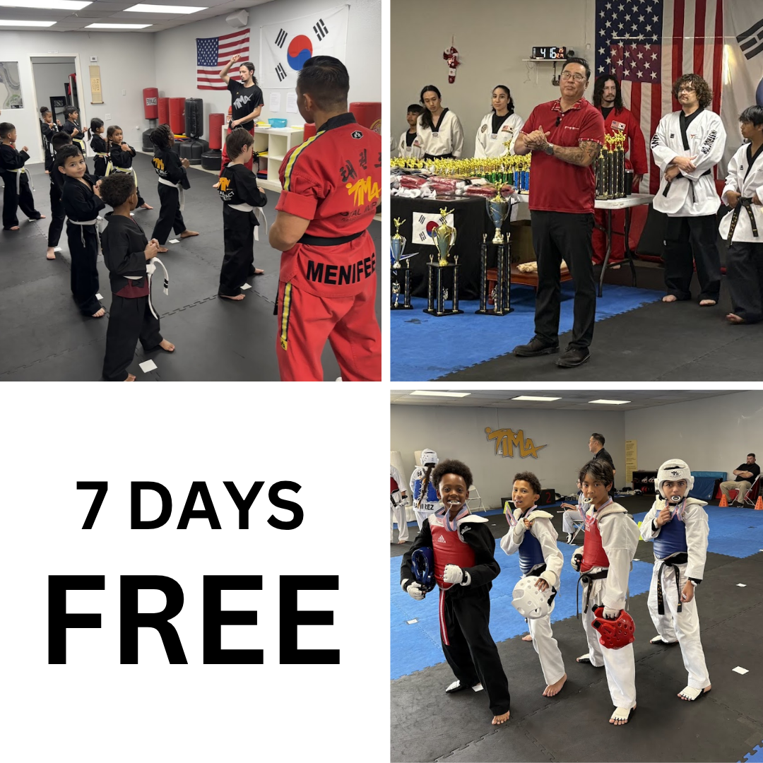Total Impact Martial Arts Facebook ad: Give Your Child the Gift of Confidence & Discipline