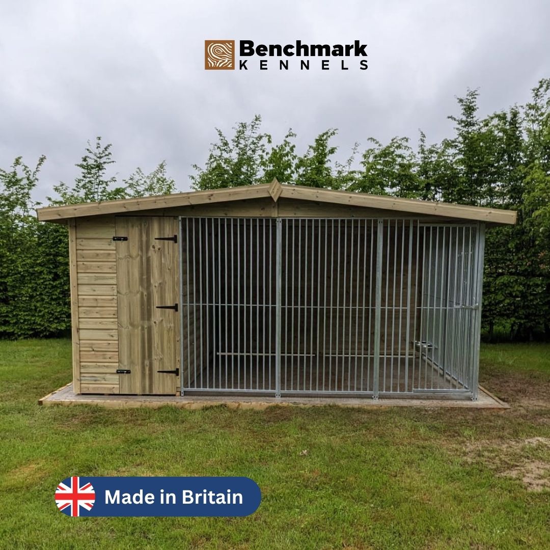 BM Kennels LTD Facebook ad
