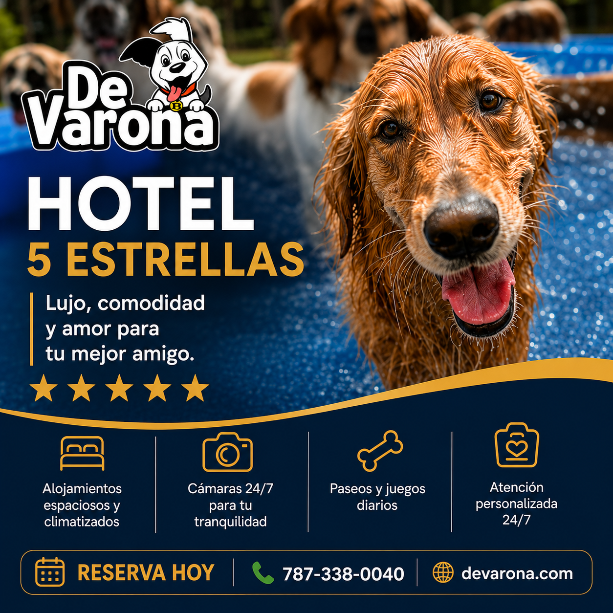DeVarona Facebook ad