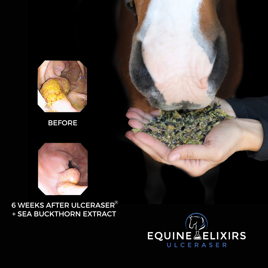 Equine Elixirs Facebook ad