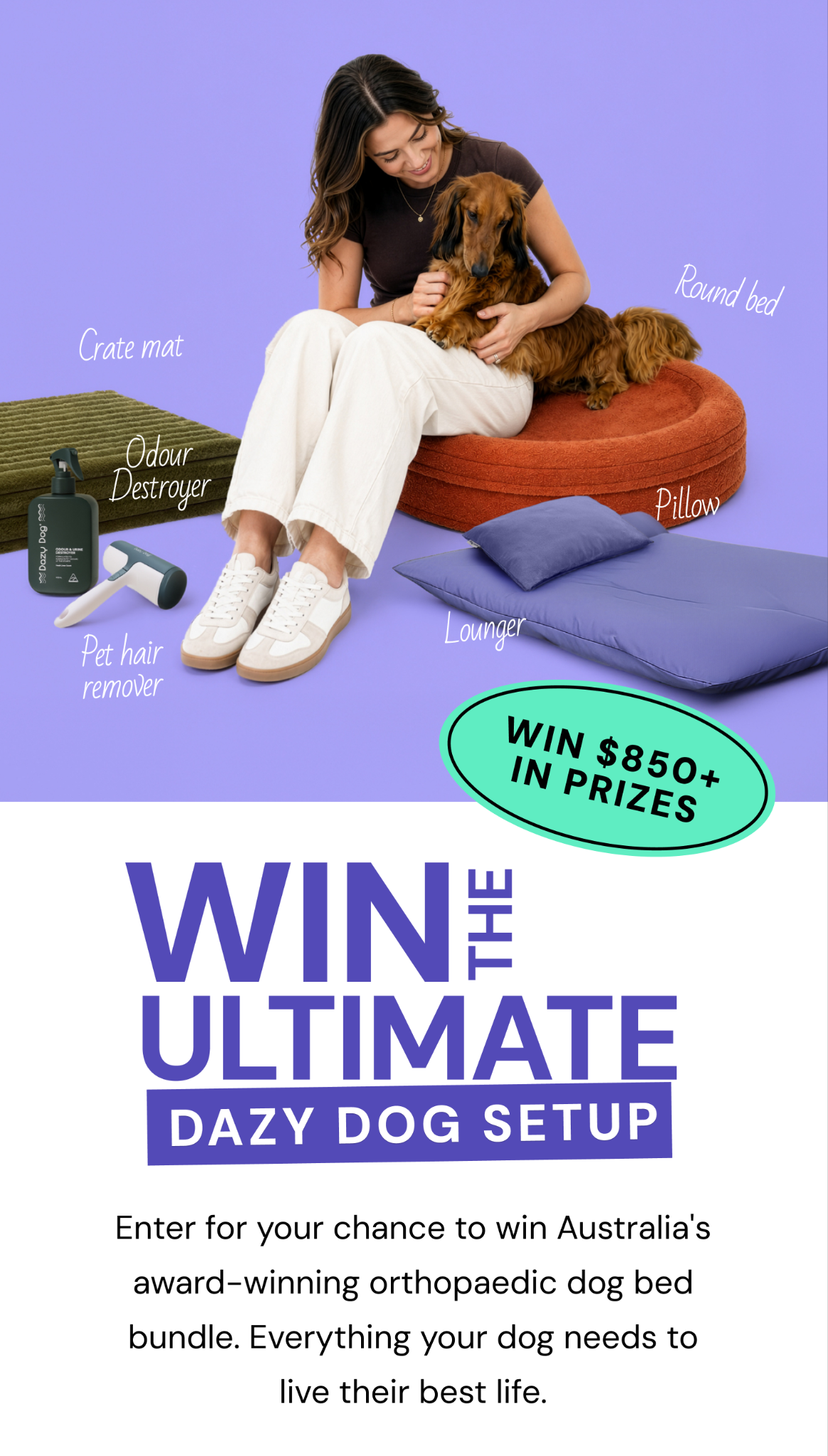 Dazy Dog Facebook ad from Jun 12, 2026