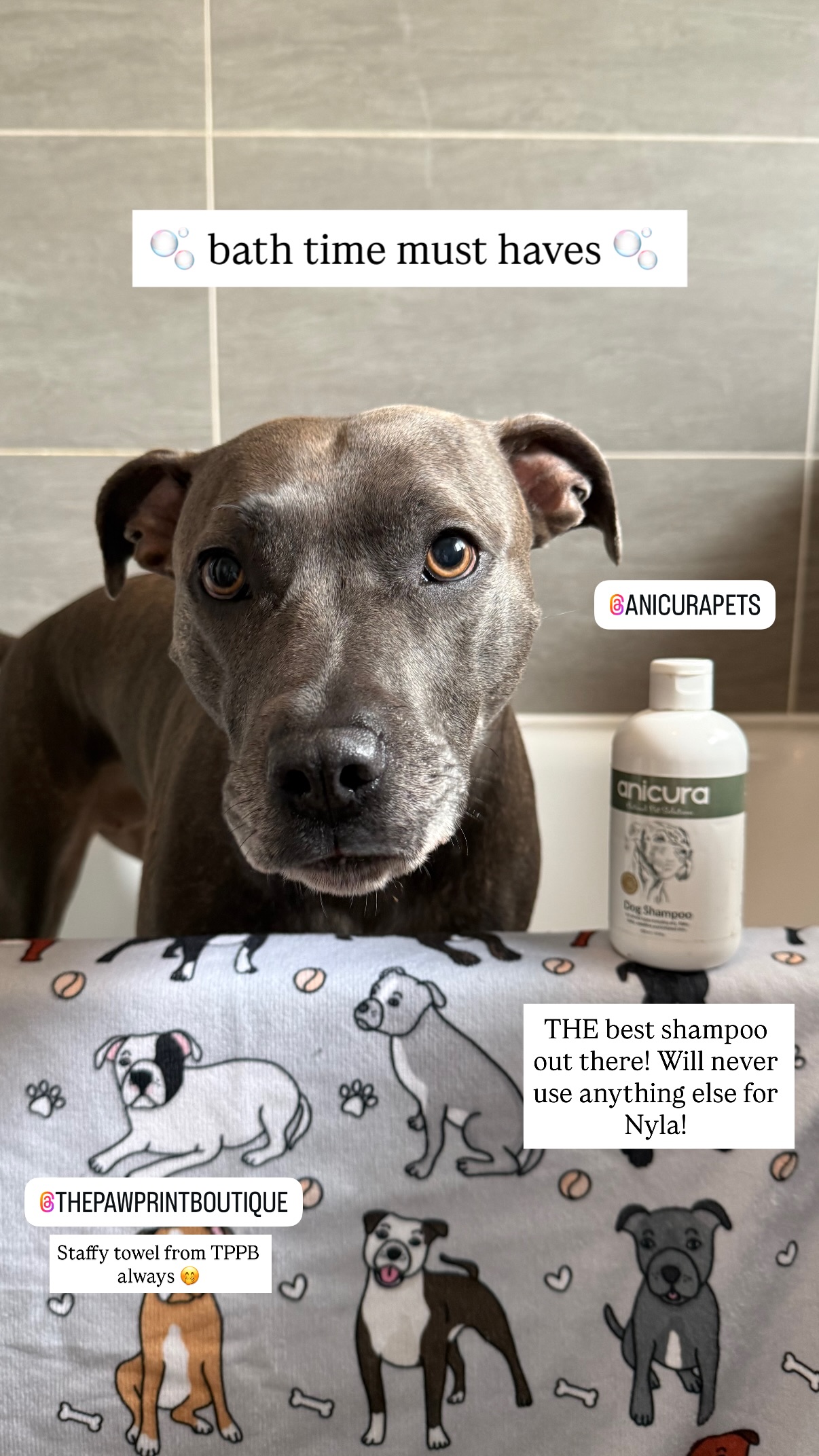 nyla_bluestaffyy Facebook ad