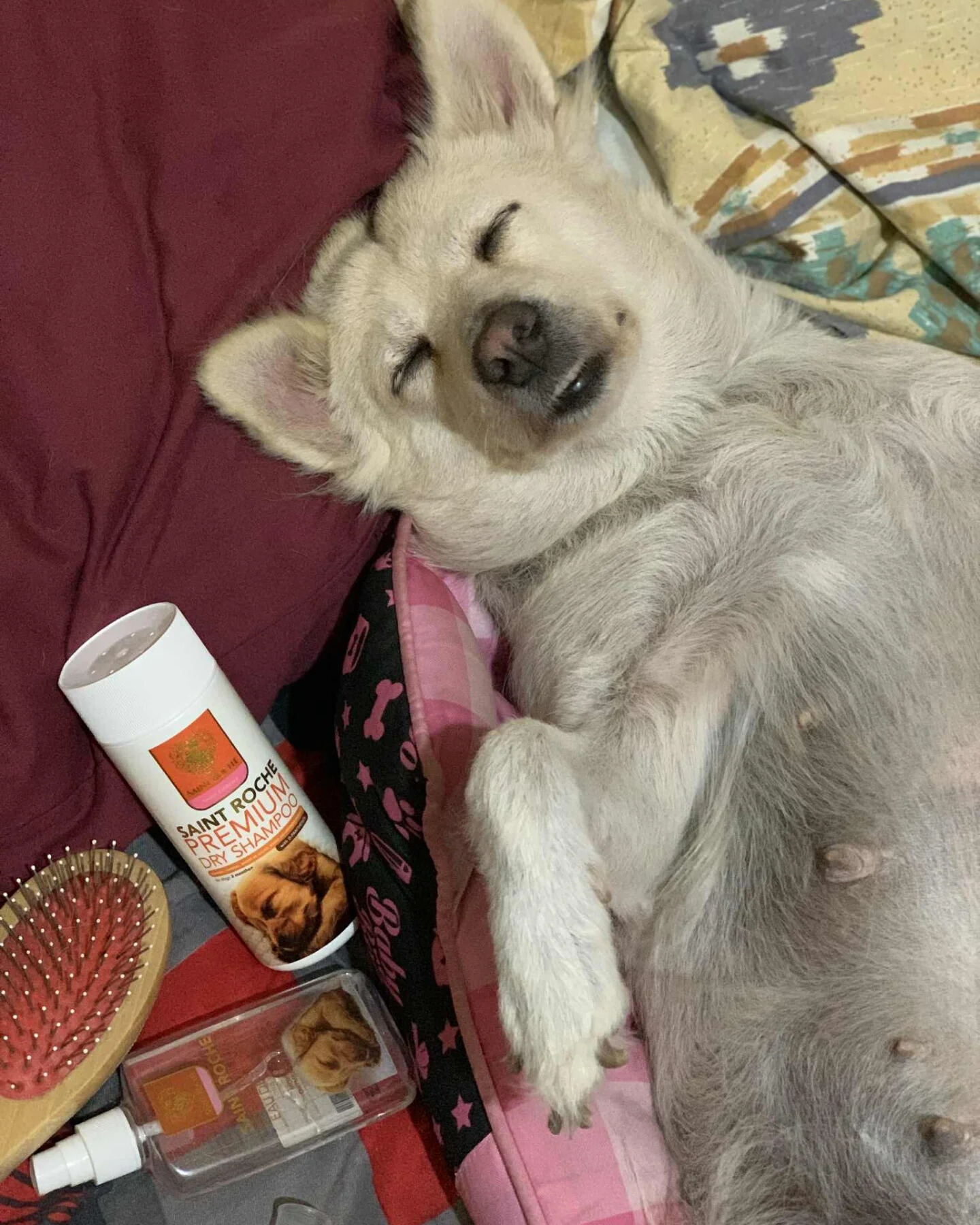 Saint Roche Premium Dog Shampoo Facebook ad