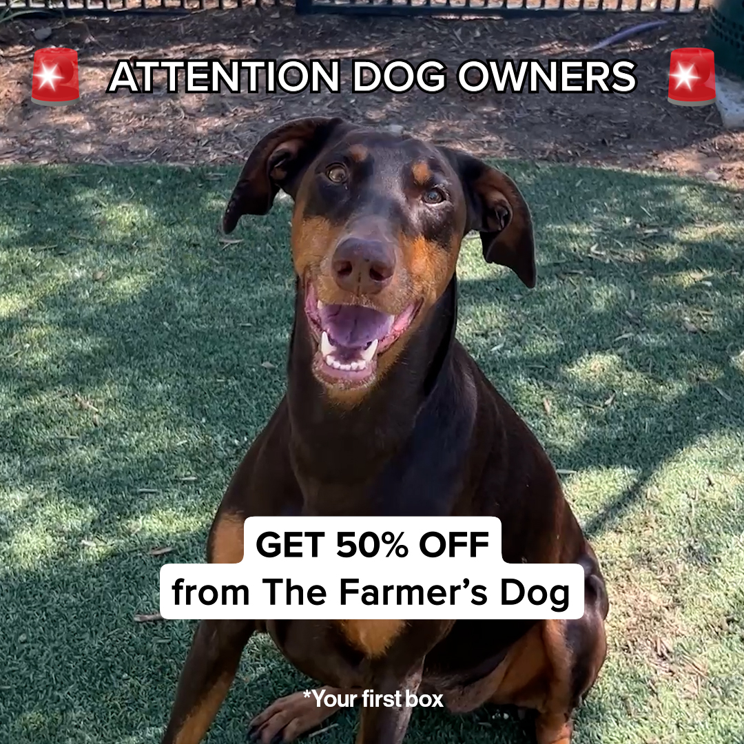 Ultimate Dog Parent Guide Facebook ad