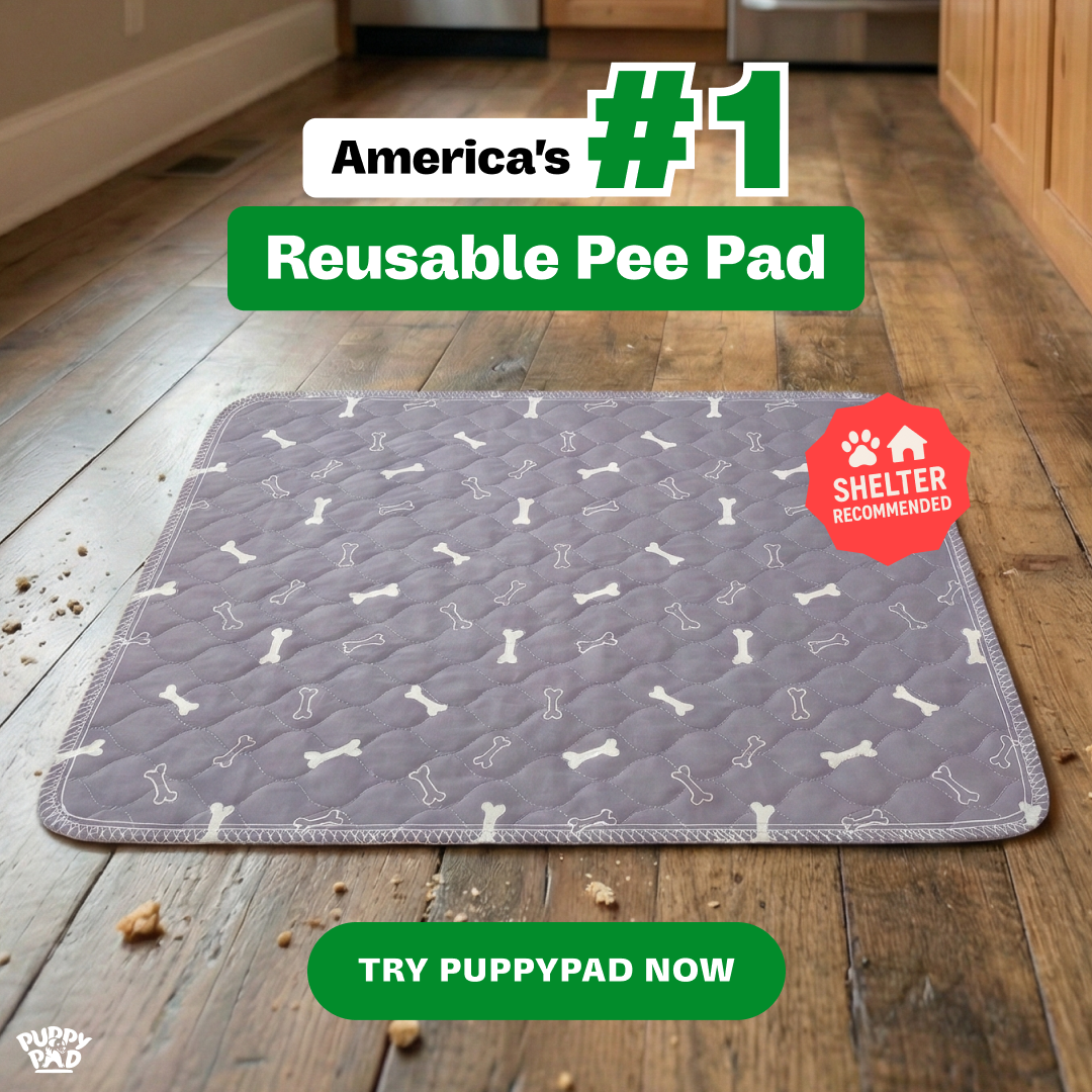 PuppyPad Facebook ad