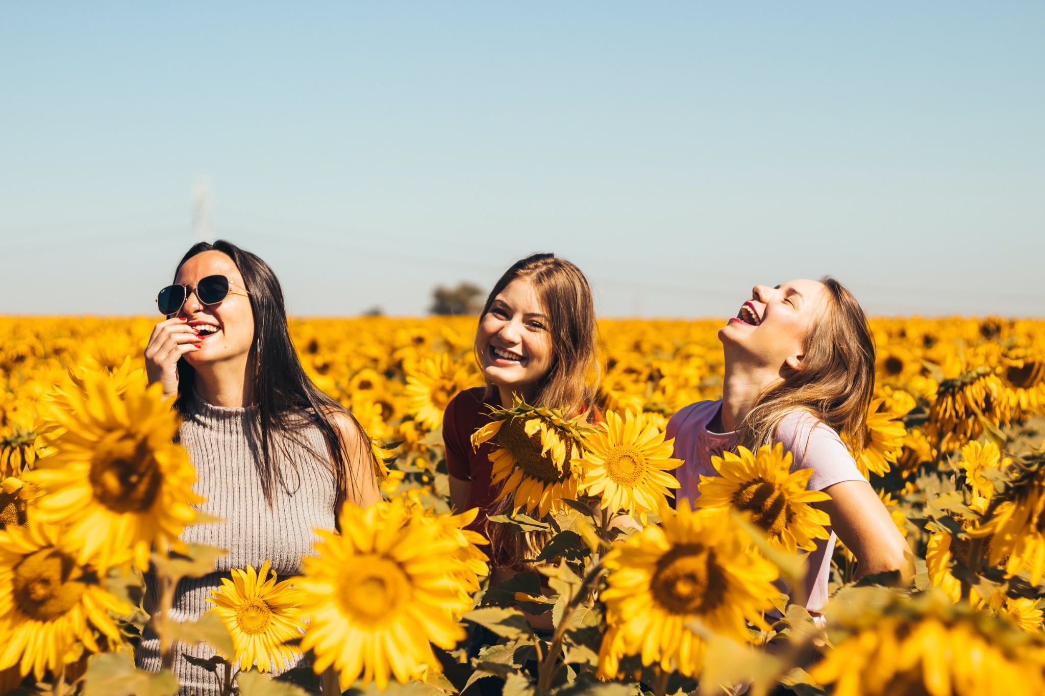 Tassie Mums Facebook ad: Tassie's Best Family Events This Week