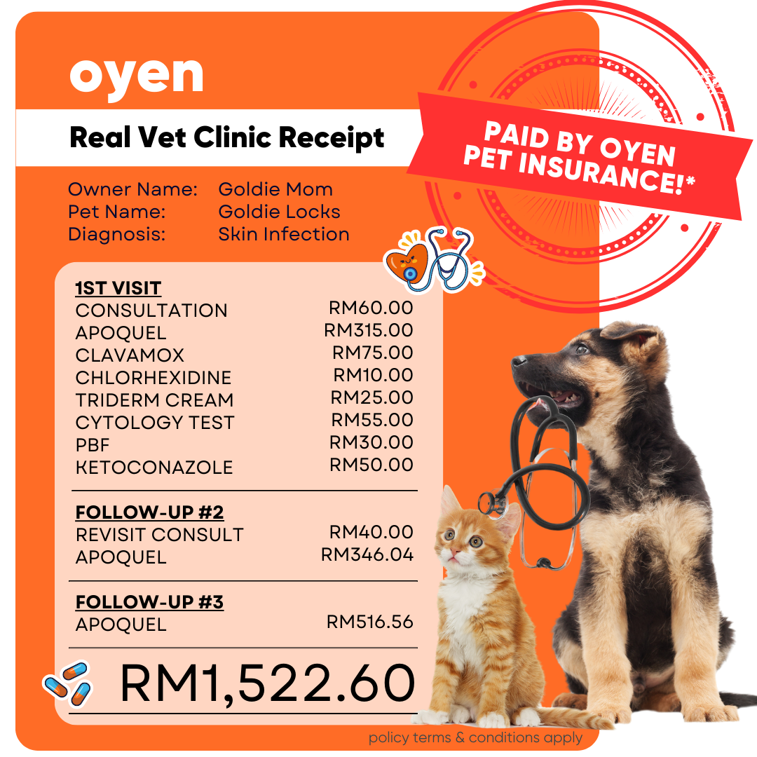Oyen Pet Insurance & Takaful Kucing Facebook ad