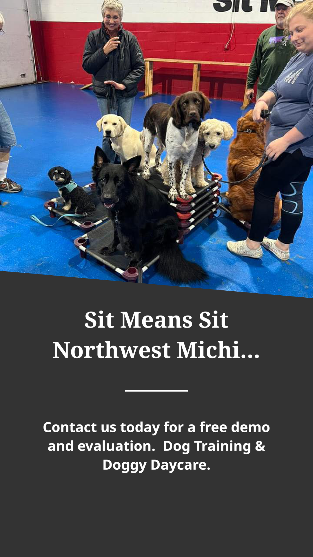 Sit Means Sit Northwest Michigan Dog Training & Doggy Daycare Facebook ad: Contact us today for a free demo and…