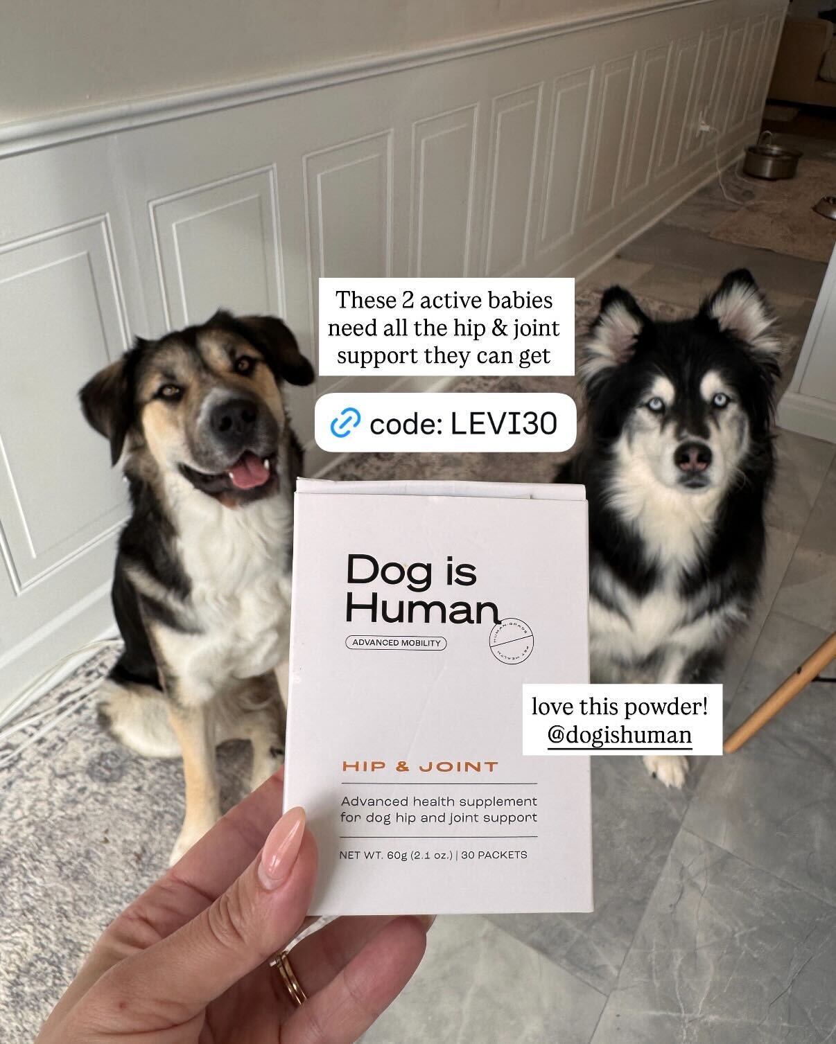Dog is Human Facebook ad