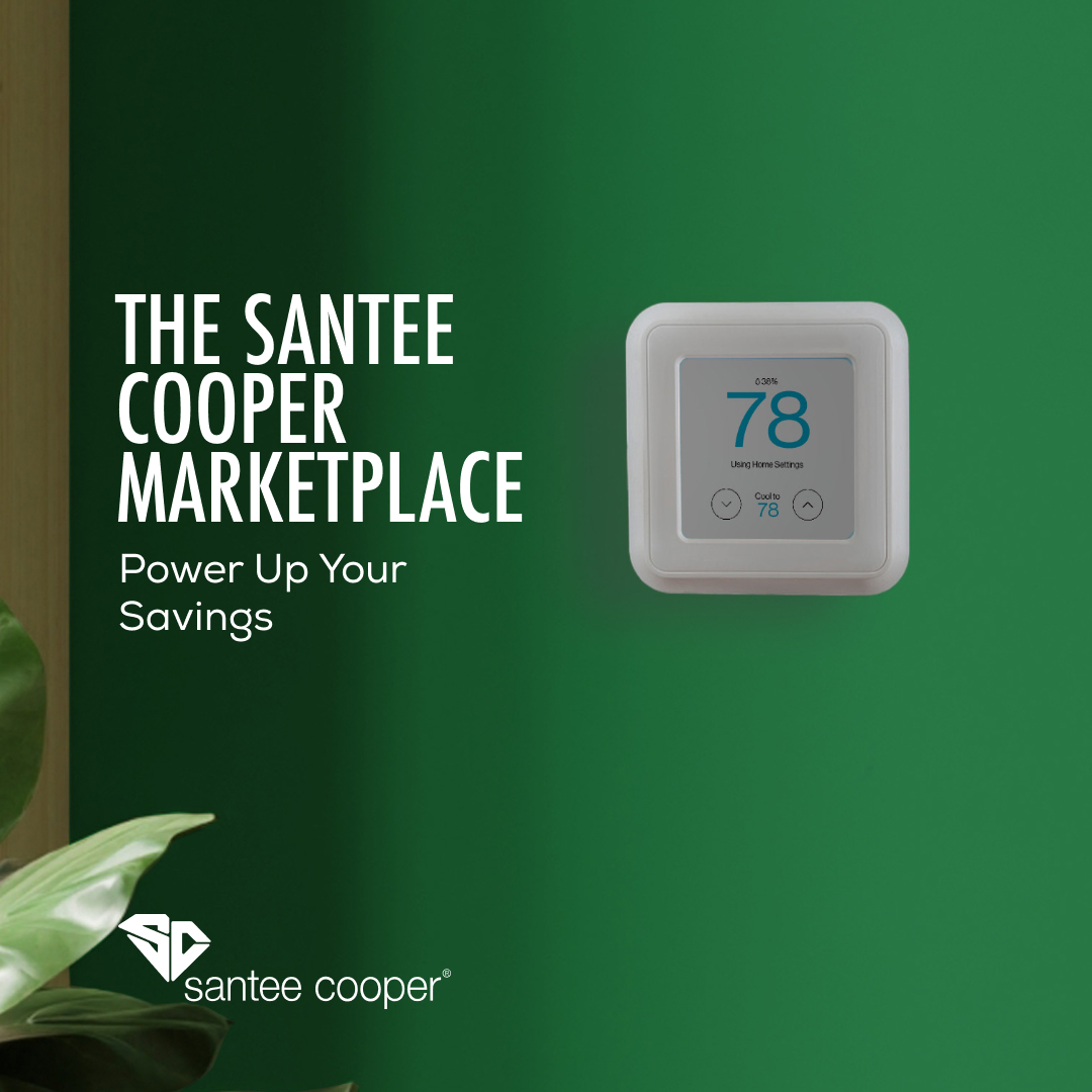 Santee Cooper Facebook ad: Get Instant Rebates on Smart Energy Solutions!