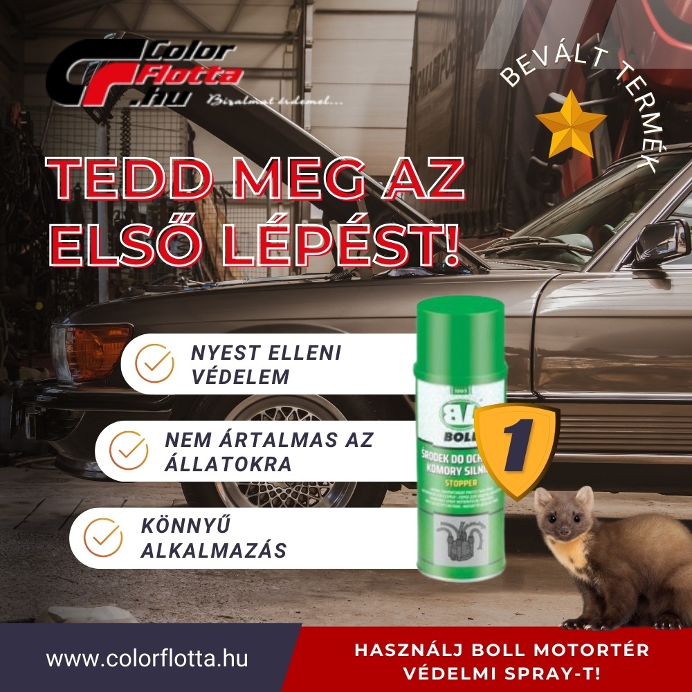 Color Flotta Kft. Facebook ad from Apr 8, 2025