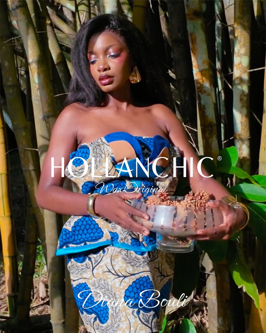 Hollanchic Facebook ad