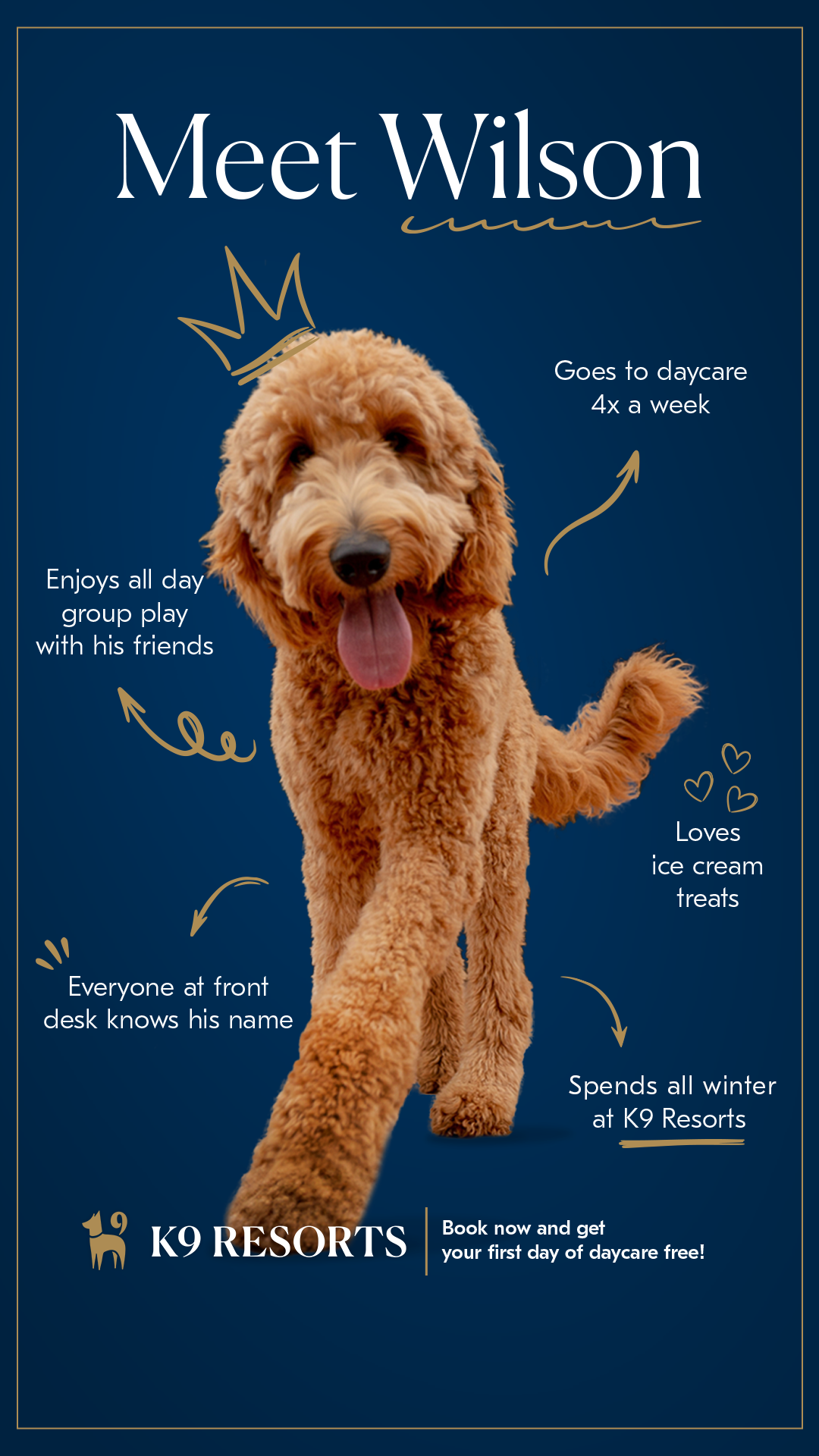 K9 Resorts Luxury Pet Hotel Facebook ad from Feb 13, 2026