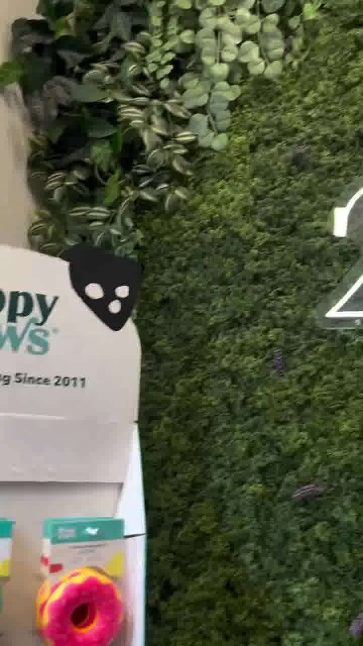 21 Pooch pet grooming Facebook ad: DTLA's favorite pet grooming salon!