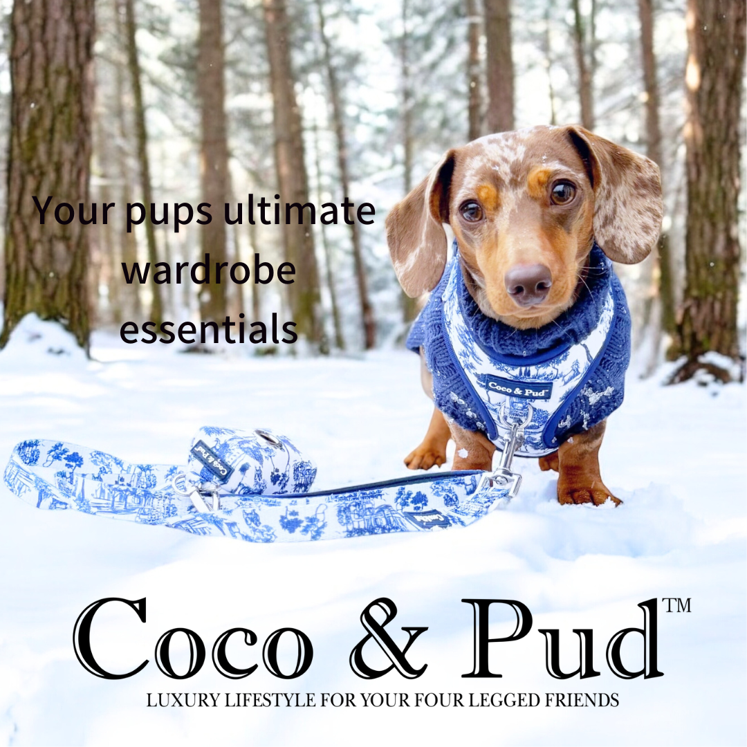 Coco and Pud Facebook ad: NEW SPRING ARRIVALS