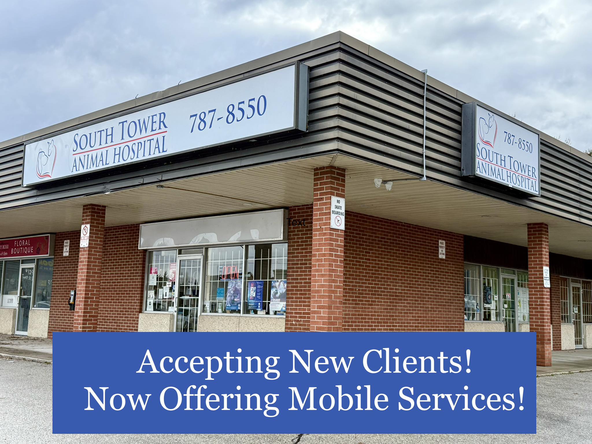 South Tower Animal Hospital Facebook ad: South Tower Animal Hospital, Fergus