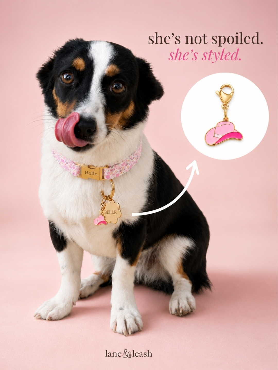Lane&Leash Facebook ad