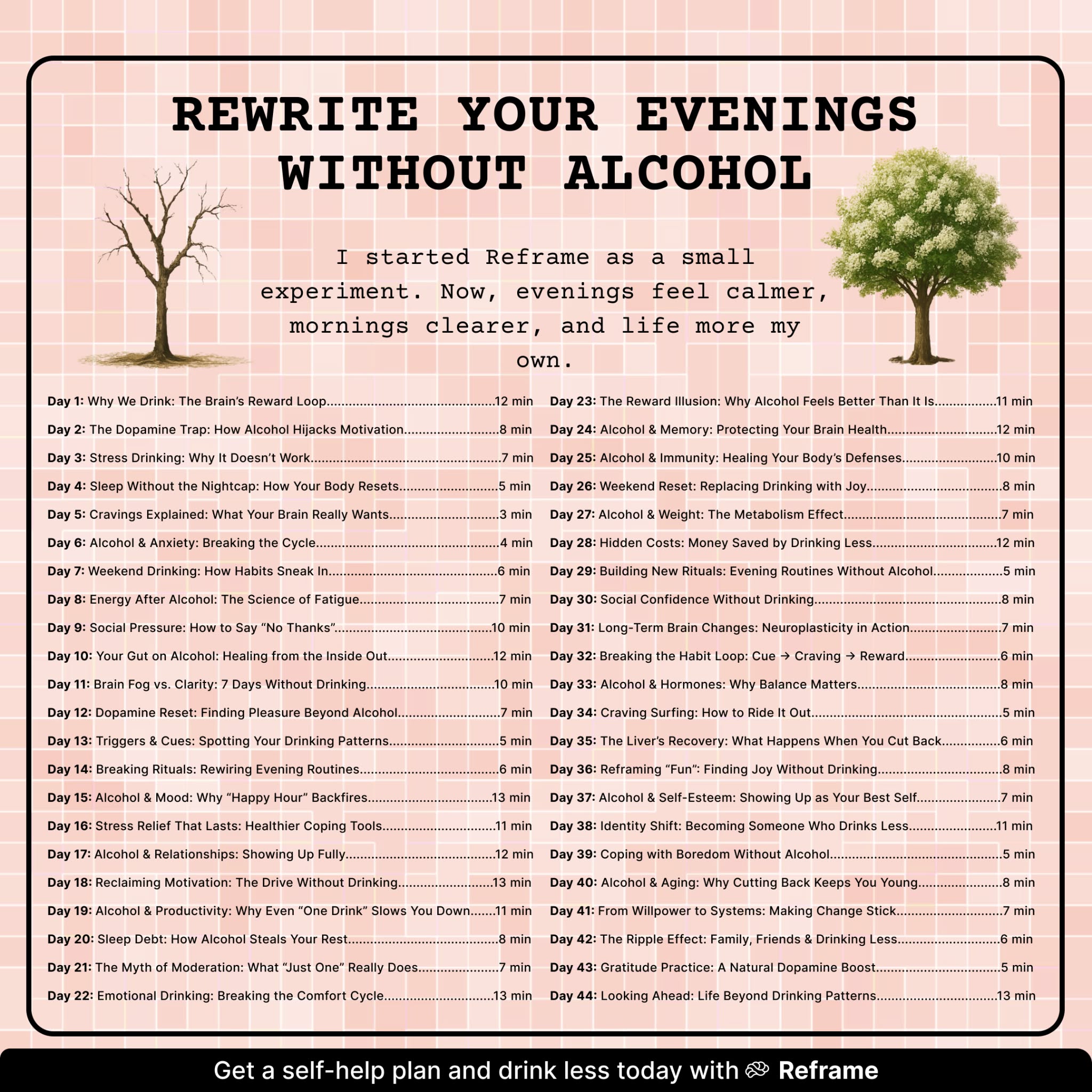Reframe Facebook ad