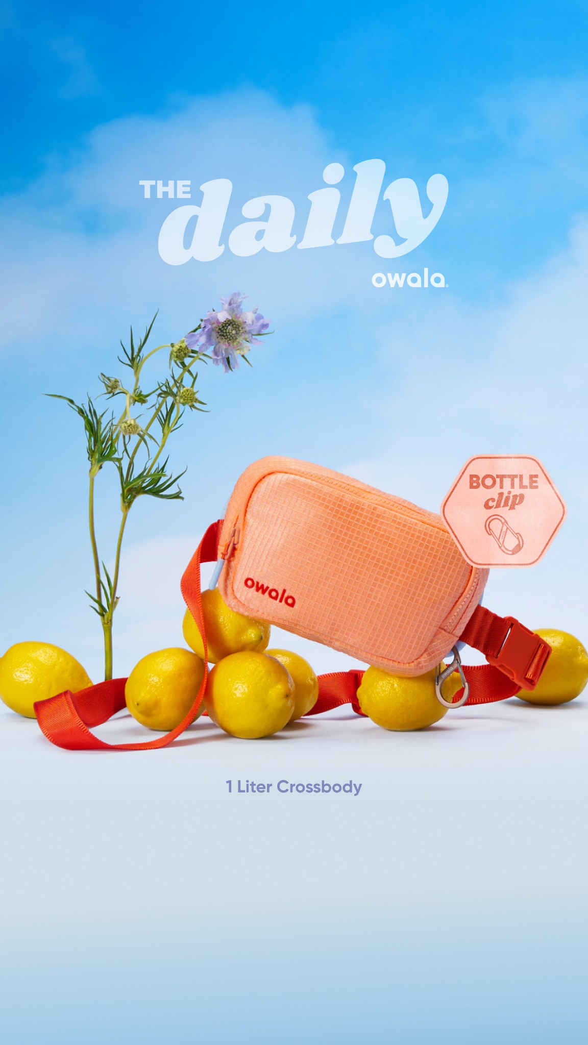 Owala Facebook ad