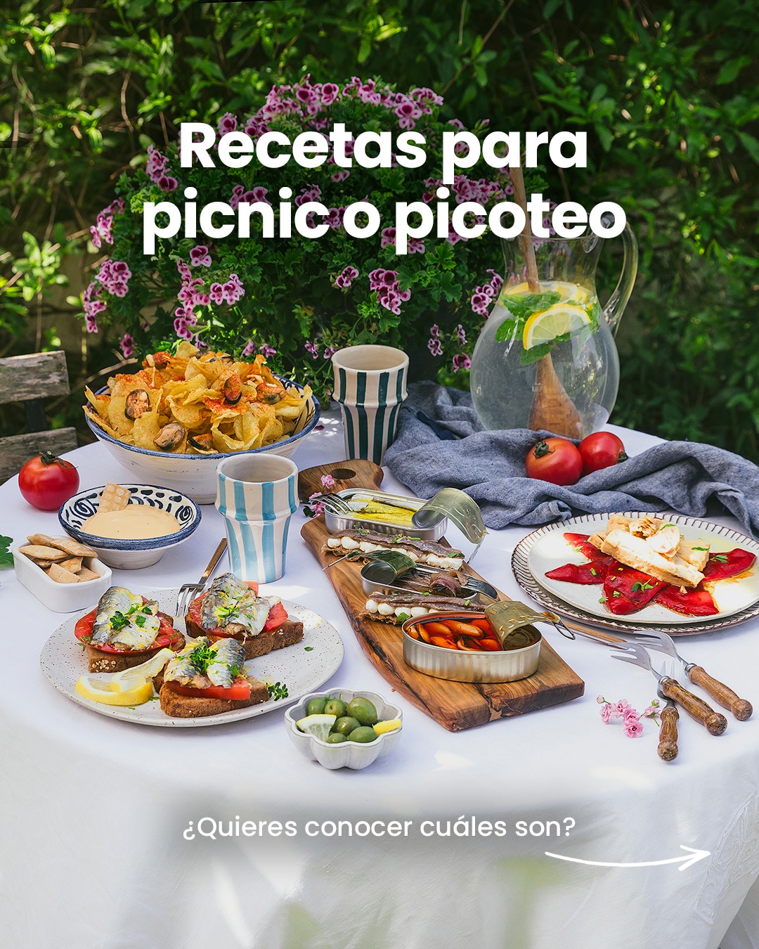 Eroski Facebook ad: POV: Te ha tocado llevar el picoteo al…