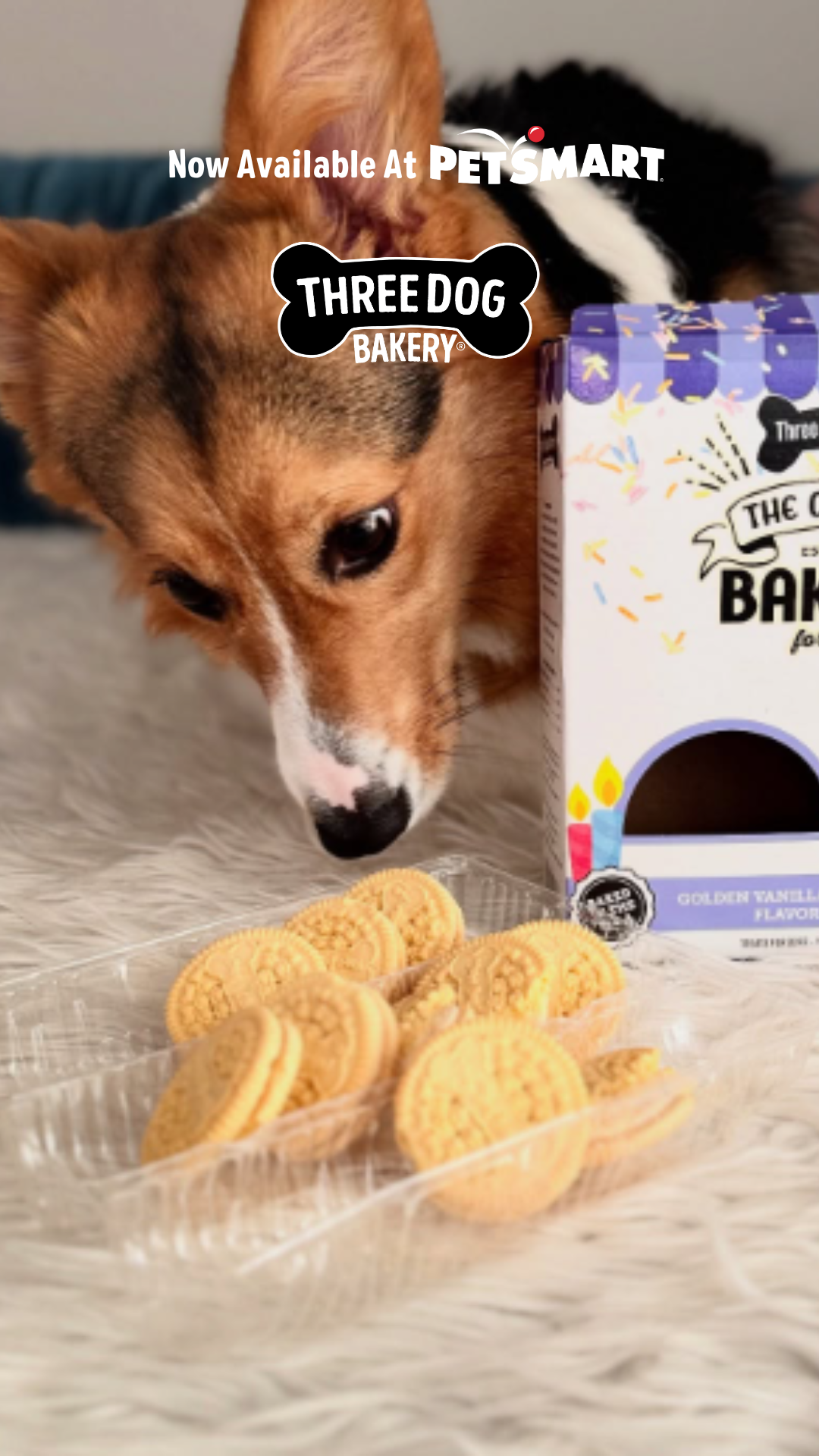 Three Dog Bakery Facebook ad