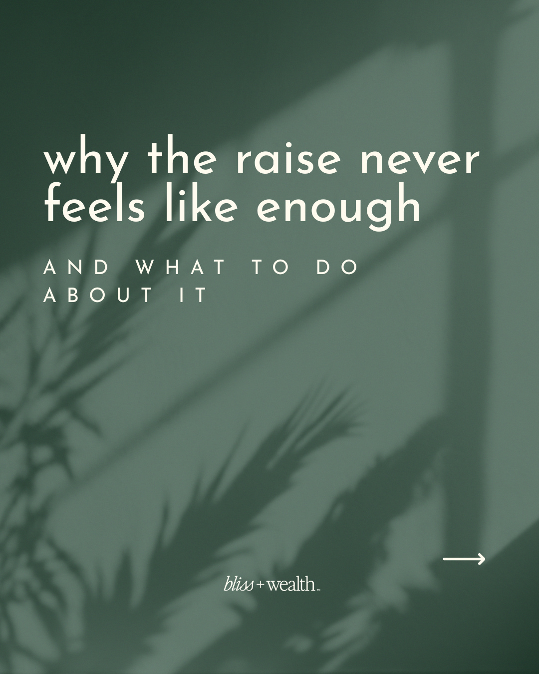 Bliss + Wealth Facebook ad: The raise hits.