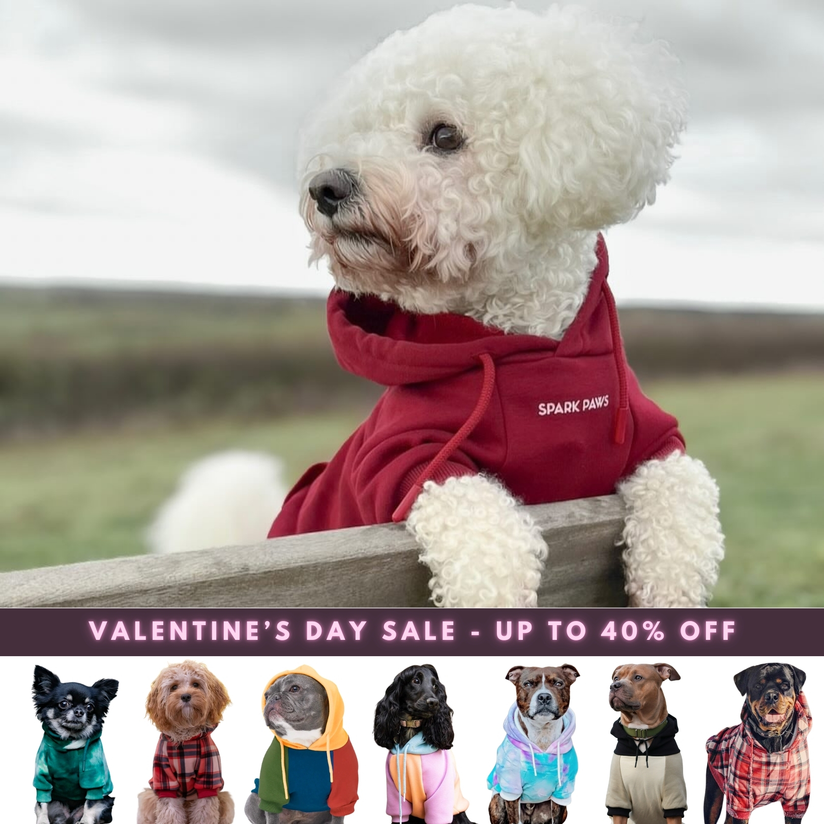 Spark Paws Facebook ad