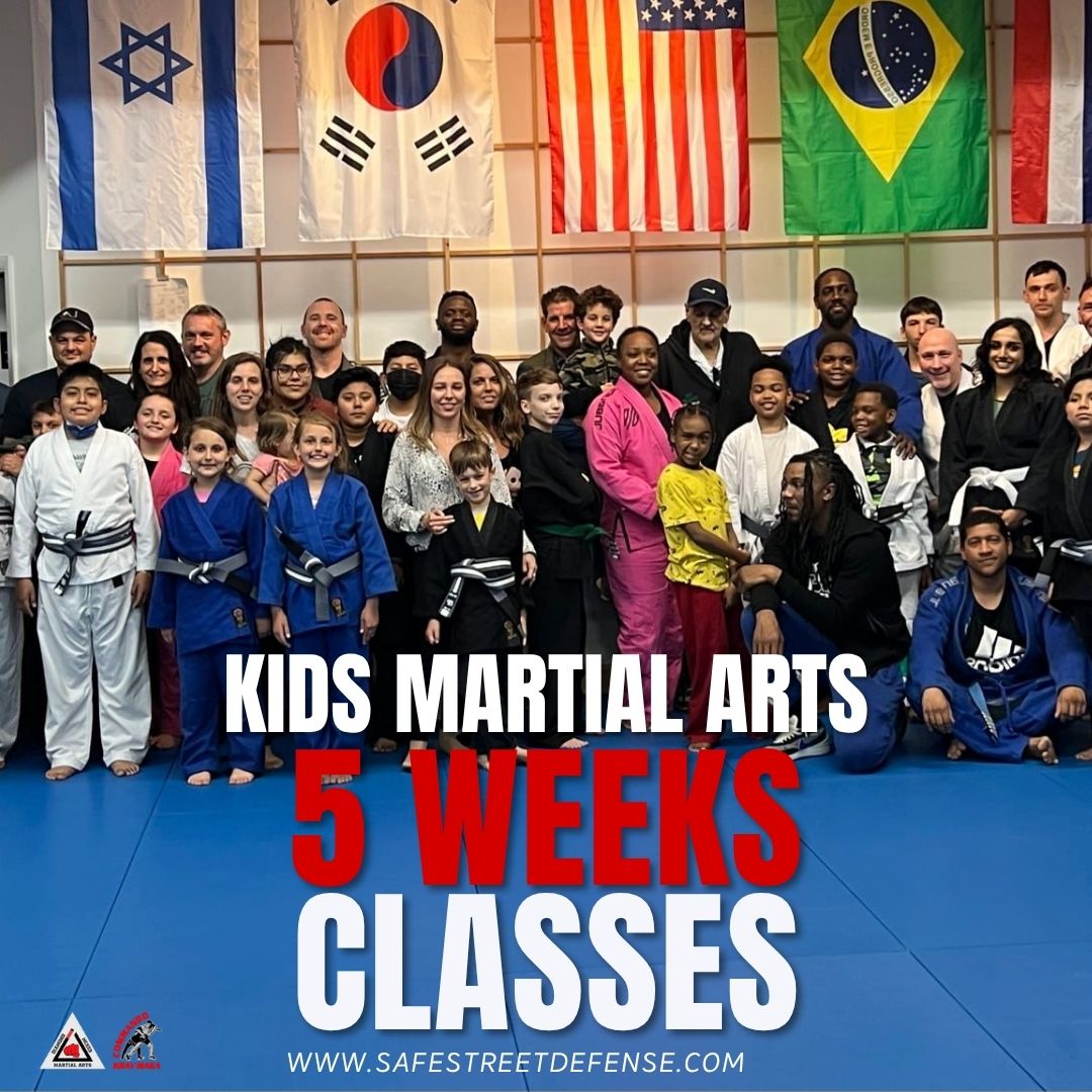 Diamond Mixed Martial Arts Facebook ad
