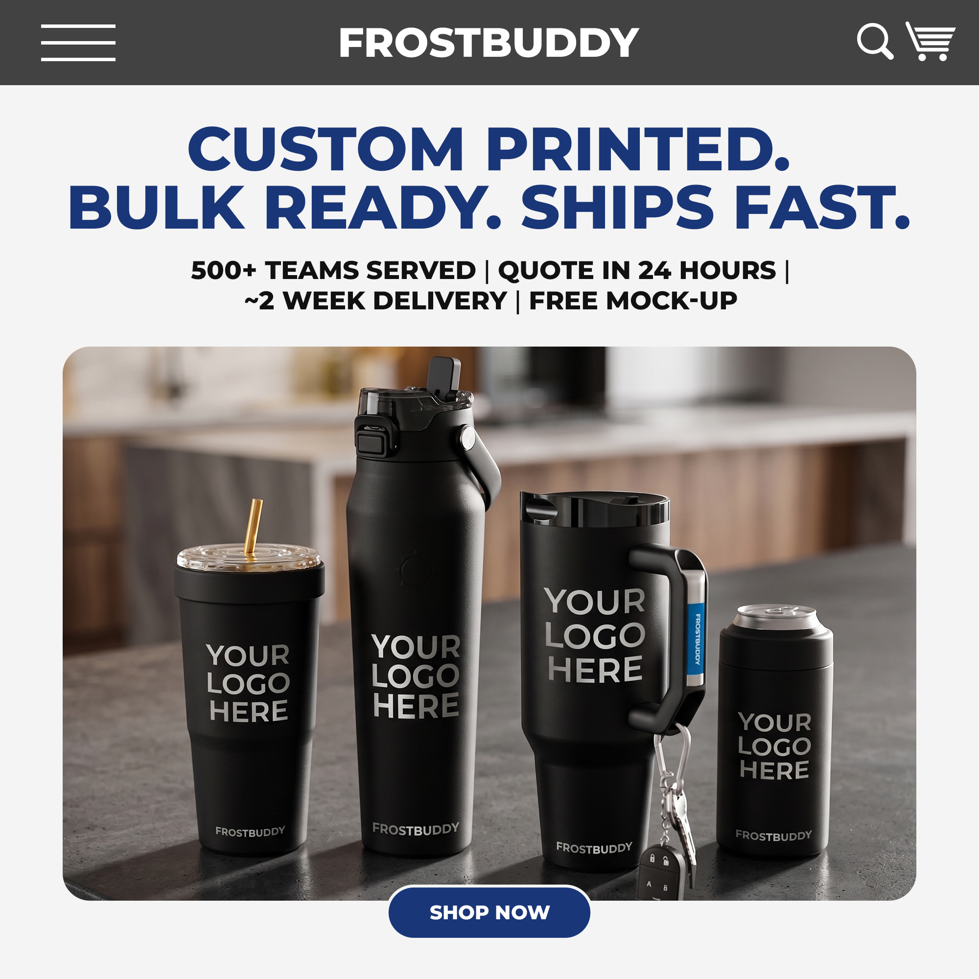 Frost Buddy Facebook ad