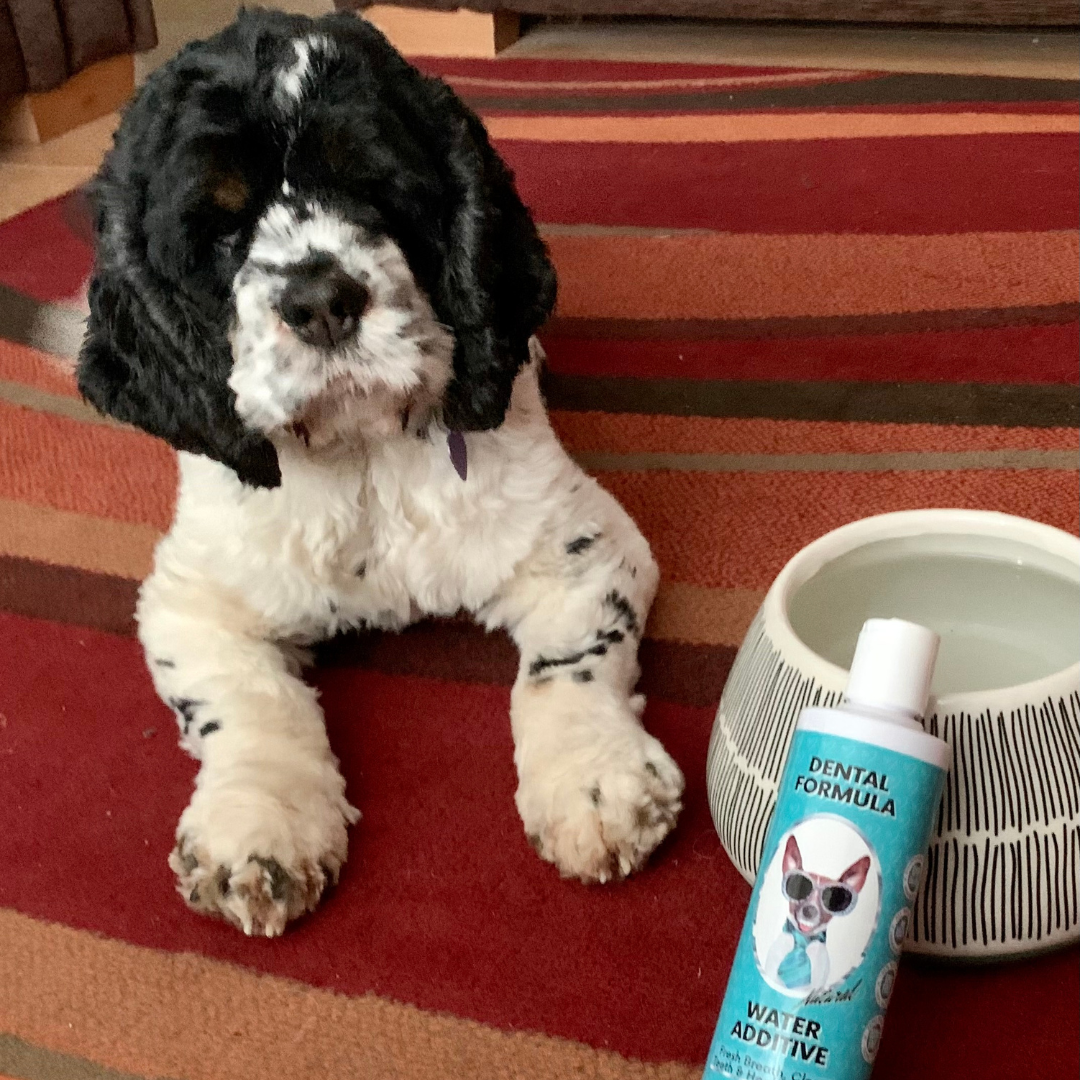 Nutri Paw Facebook ad