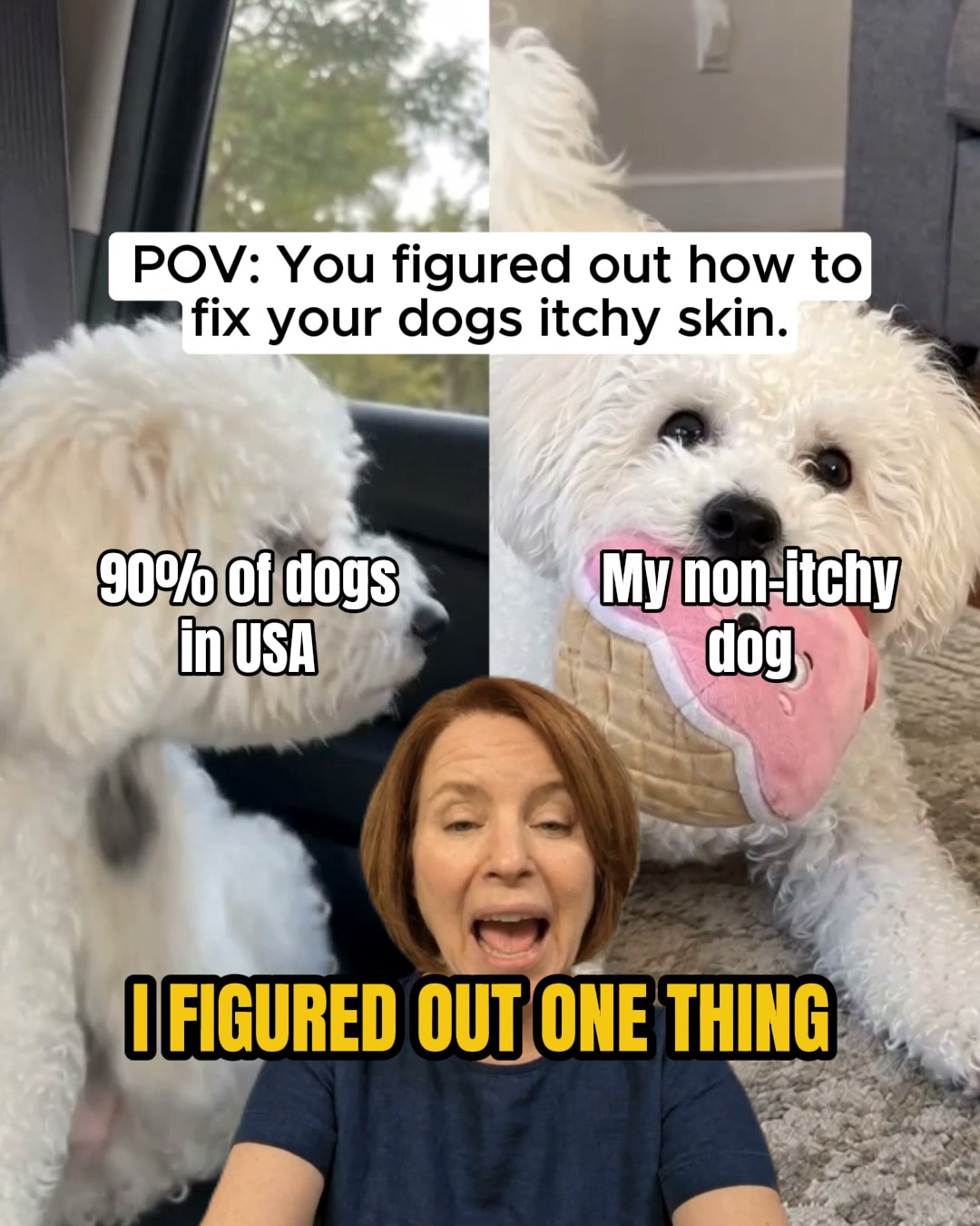 Tratez Facebook ad: What every itchy dog is missing