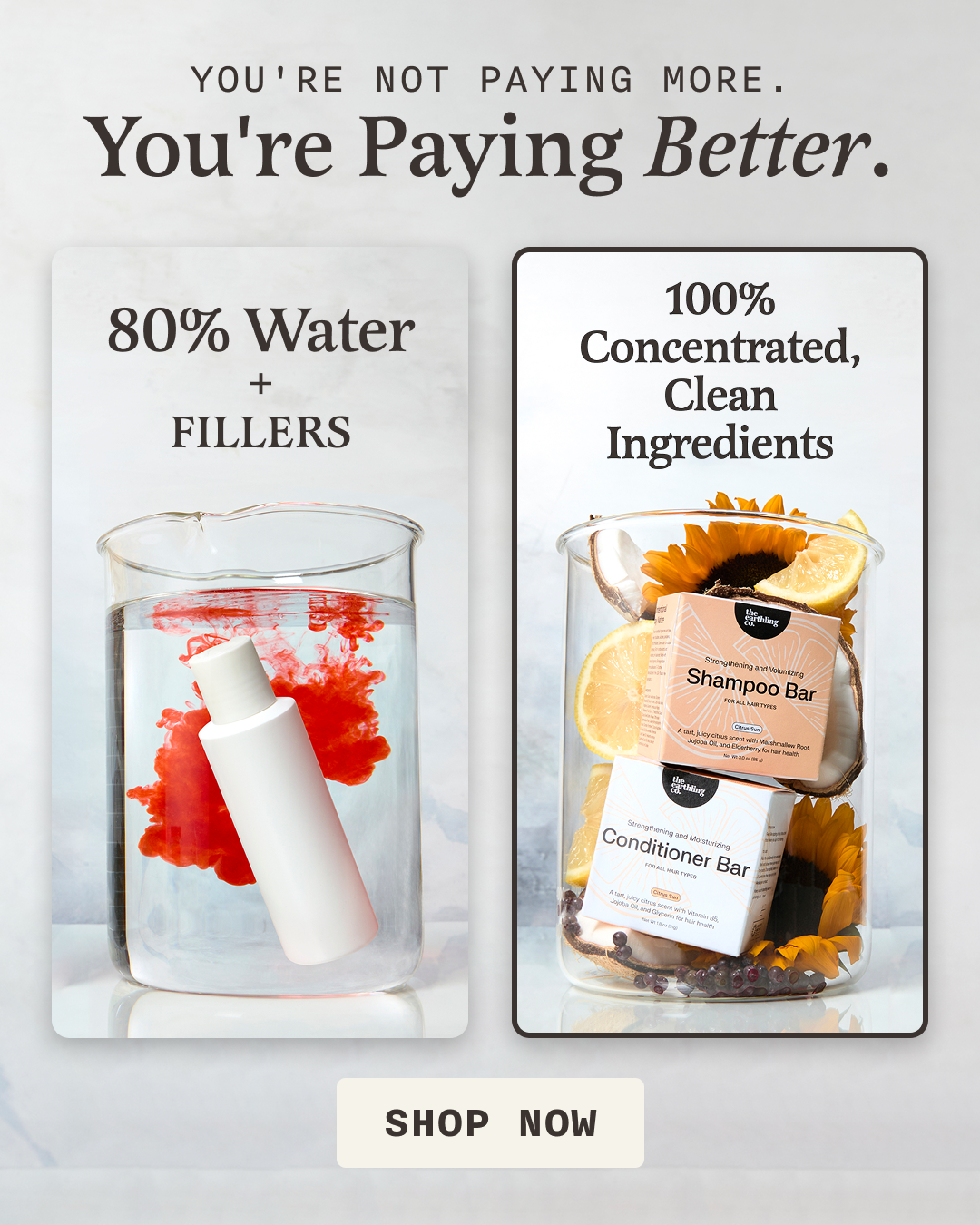 The Earthling Co. Facebook ad