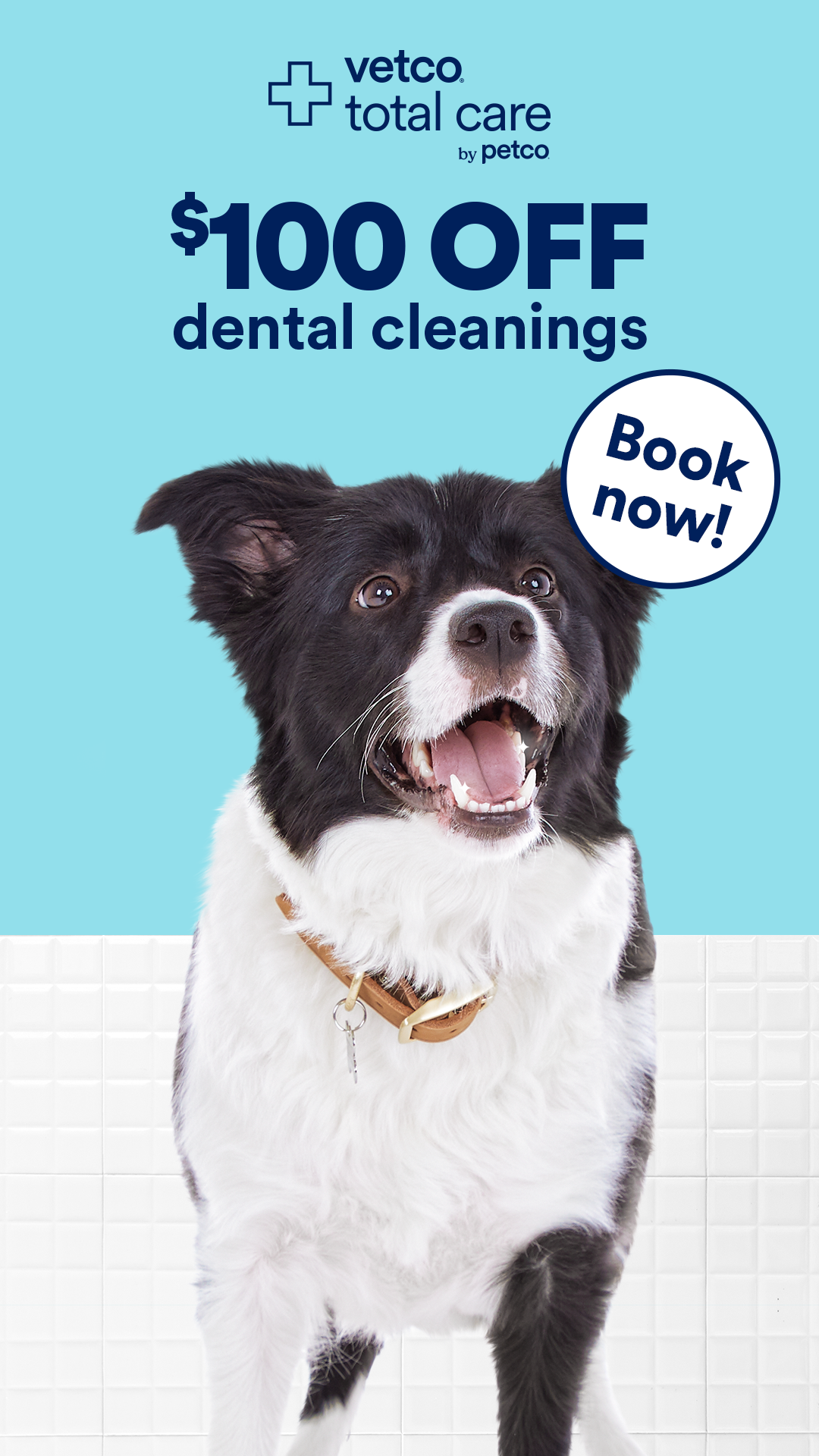 Petco Facebook ad