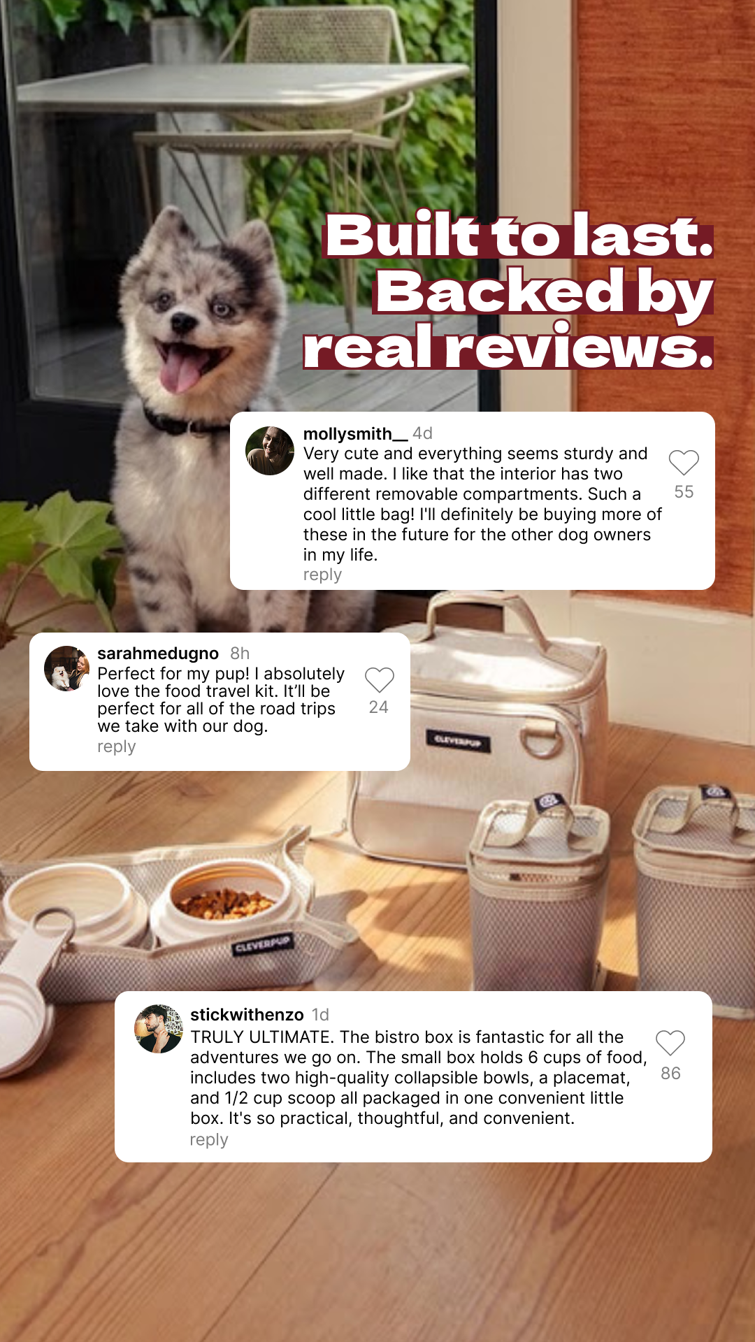 Cleverpup Facebook ad