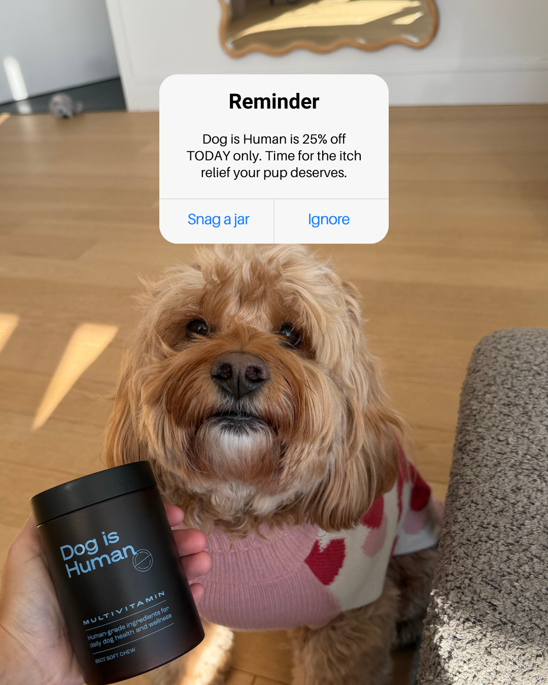 Dog is Human Facebook ad