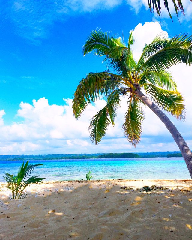 Dany Island Facebook ad: Santo's Amazing Day Tour Must Do!