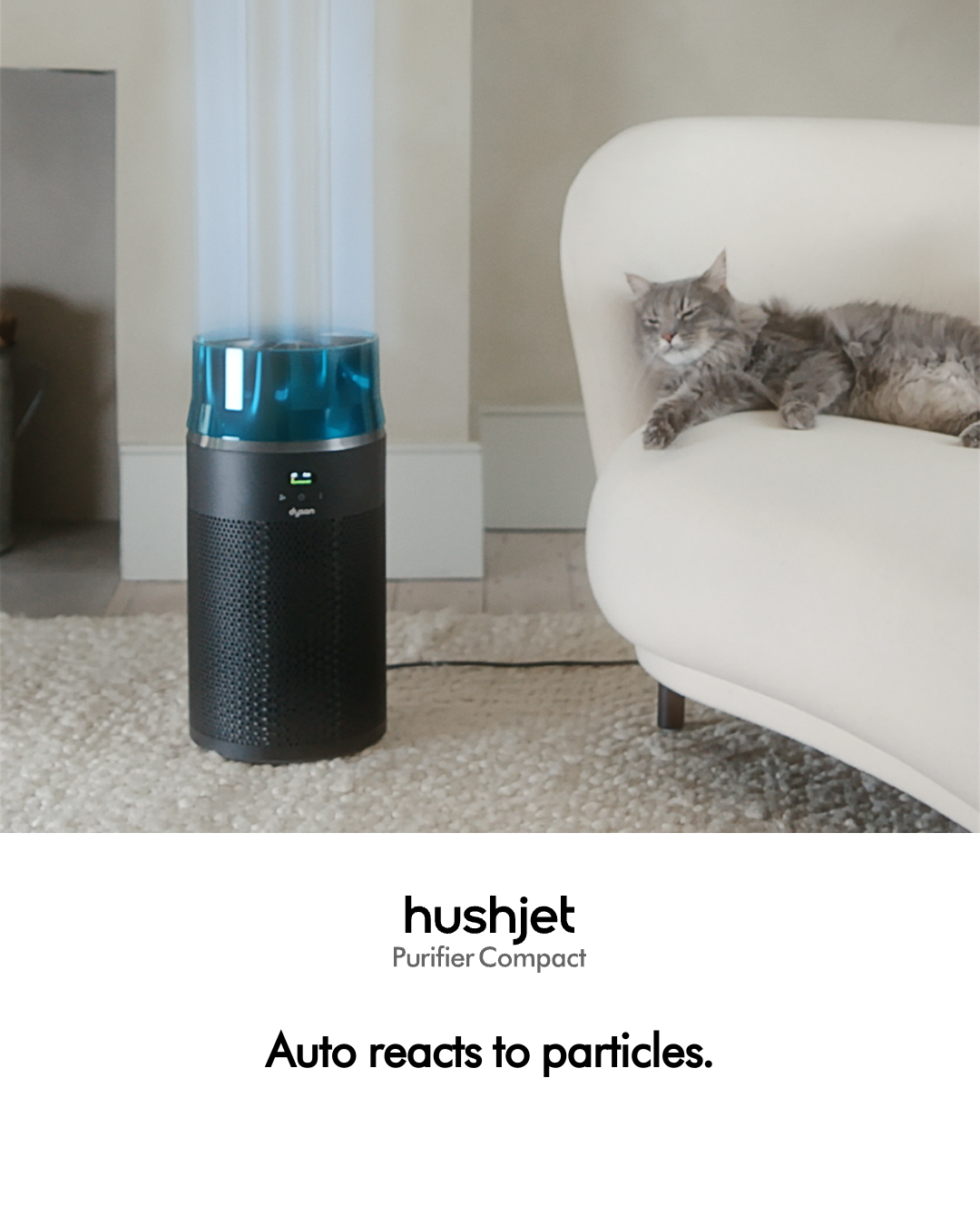 Dyson Facebook ad