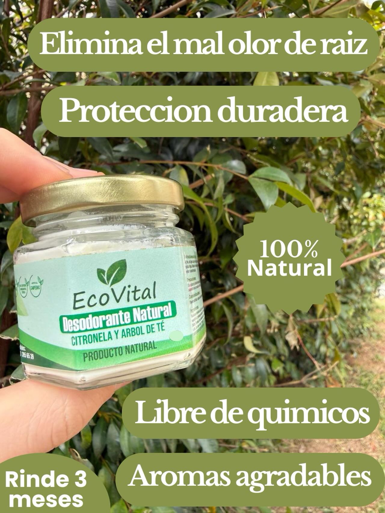 EcoVital Facebook ad from Mar 20, 2026