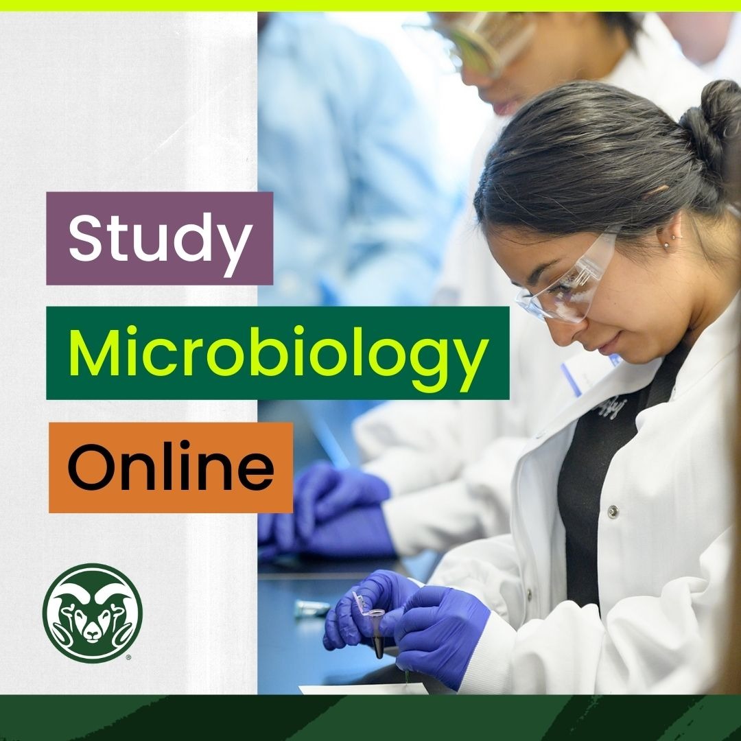 Colorado State University Online Facebook ad