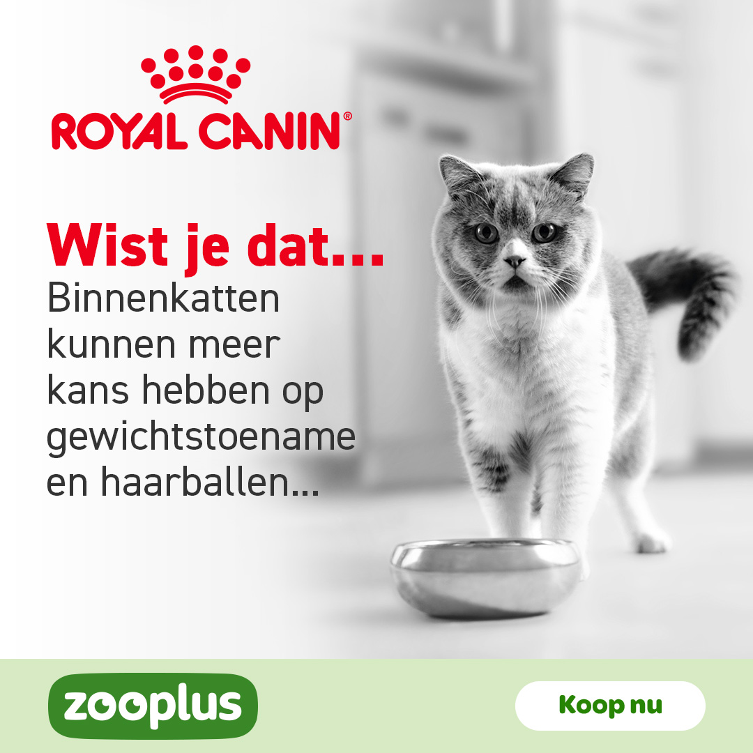 zooplus Facebook ad: Een wetenschappelijk onderbouwde formule om je kat te…