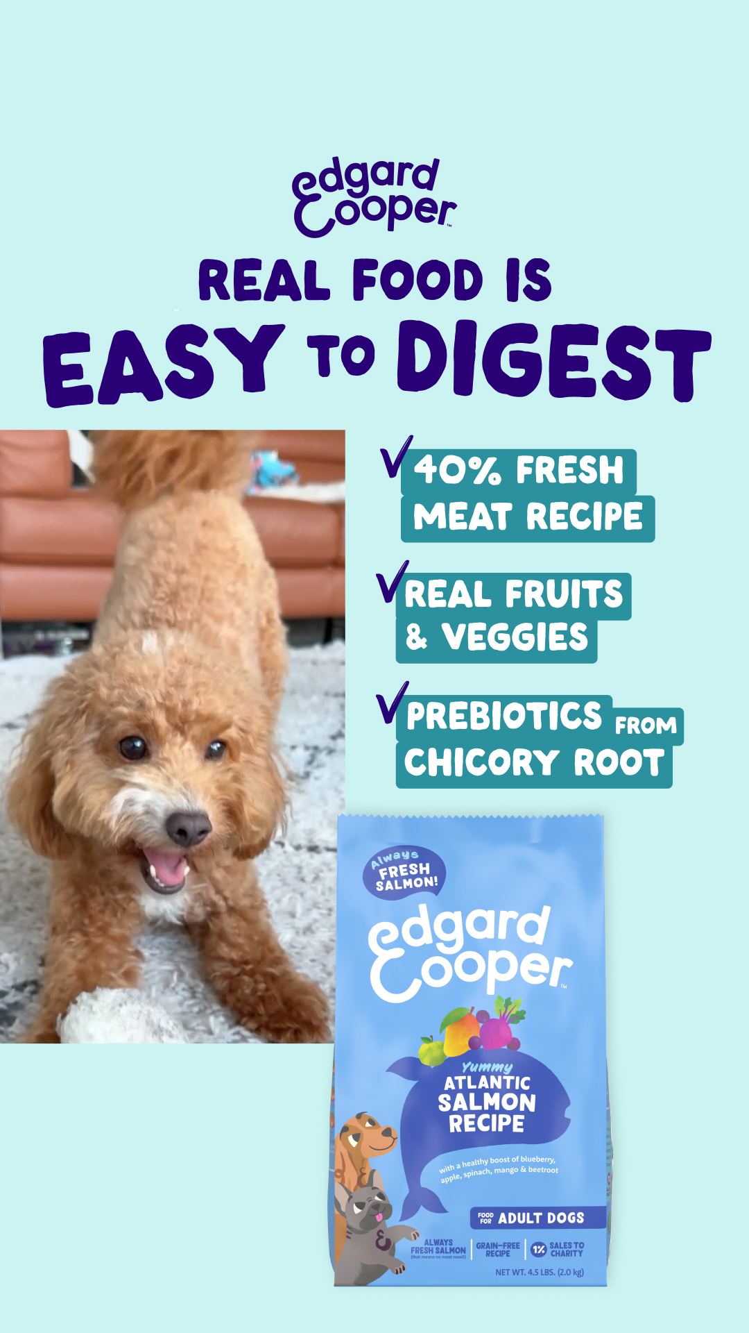 Edgard & Cooper Facebook ad from Feb 2, 2026