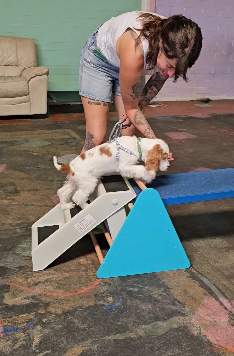 Progressive Canine Training Facebook ad