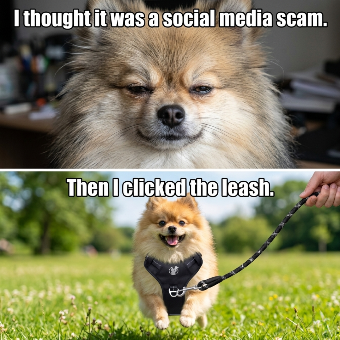 Life's Better With Dogs Blog Facebook ad