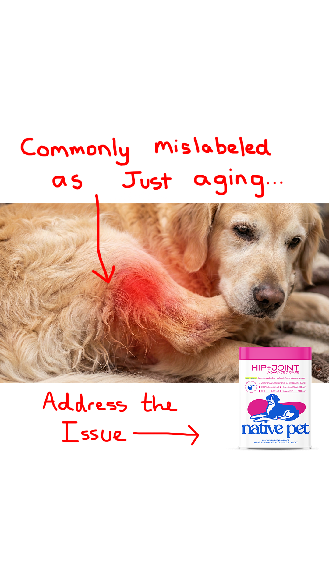 Native Pet Facebook ad