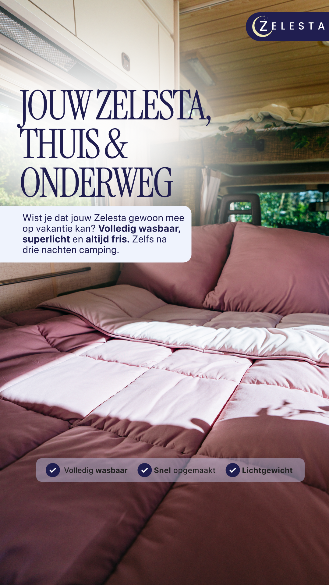 Zelesta.nl Facebook ad