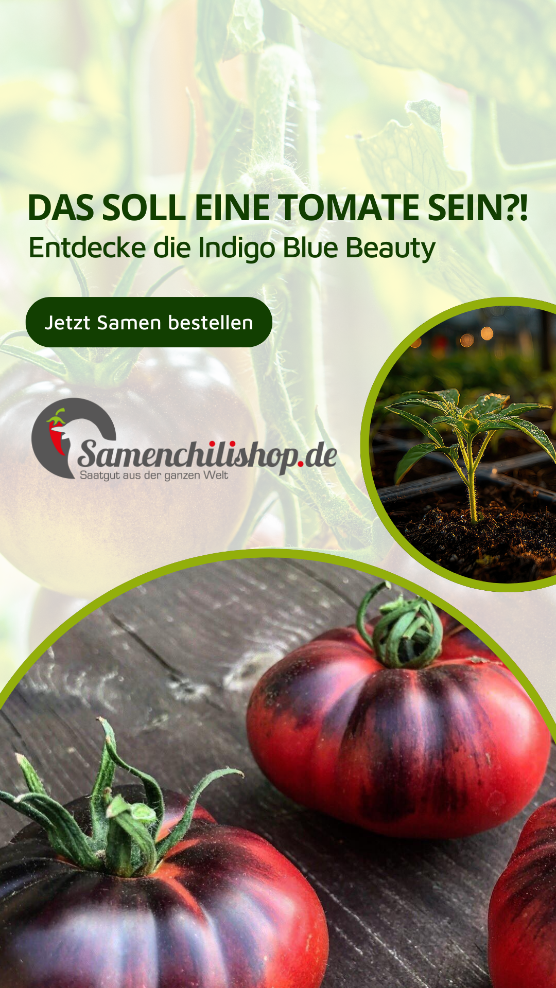 11880.com Facebook ad